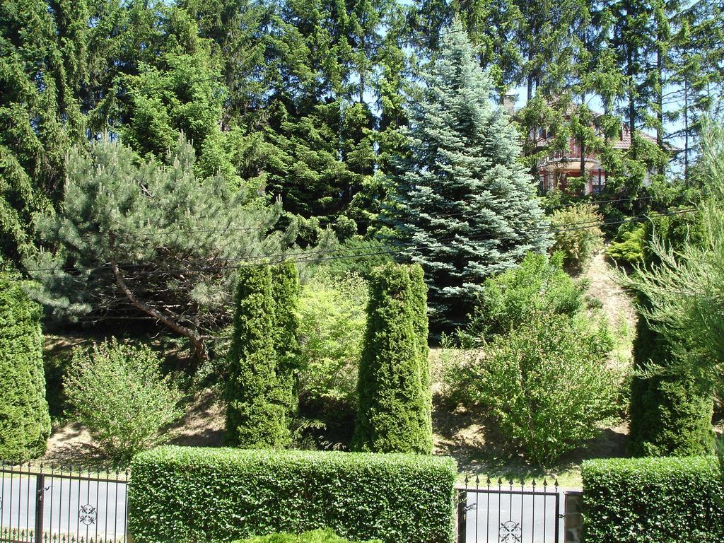 Biro Apartman Zalakaros Bagian luar foto